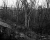 Building Behind Trees