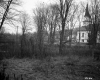 Church Through Trees