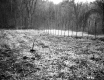 Shovel in Field