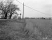 Grassy Field Alongside Road
