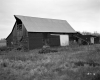 Barn with Hay