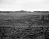 Field with Hills in Distance