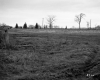 Field and Electrical Wires