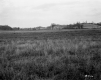 Field on Edge of Hill