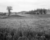 Field with Wire Fence