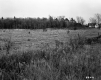 Houses on Edge of Field