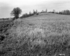 Grassy Hill