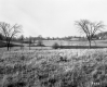 Grassy Field Interspersed with Trees