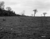 Field and Electrical Wires