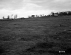 Field and Houses