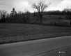 Fence by Road
