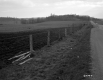 Wire Fence by Road