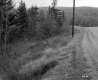 Slope Down from Road