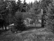 House among Trees