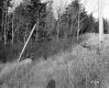 Grass on Slope