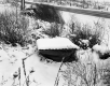 Spring on Route 2