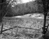 Ingalls Property, Meadow and Forest