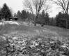 Ingalls Property, Barns on Hill