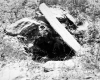Ingalls Property, Spring