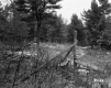 Ingalls Property, Forest View