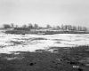 Burnett Property, Farm Fields