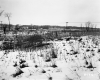 Wright Property, Farm Fields