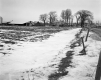 Wright Property, Barns and Farm Fields