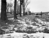 Schanko Property, Farm Fields