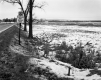 Beaudry Property, Farm Fields