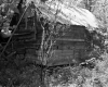 Cabin in Woods