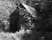 Cabin in Woods