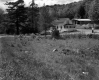 Houses by Road