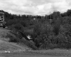 Field by Road