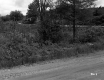 Field by Road