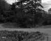 Dirt Road