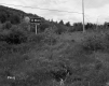 Sign in Field