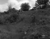 Hill by House