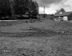 Field by Barn