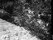 Hill over Stream