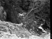 Stream from Above