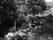 Stone Wall