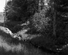 Stream by Road