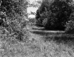 Grassy Slope