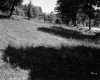 Grassy Slope