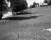 Grassy Hill