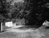 Trees Surrounding Houses