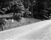 Stone Wall by Road