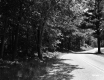 Winding Road