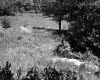 Grassy Downhill Slope
