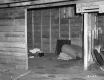 Interior of Johnson Barn